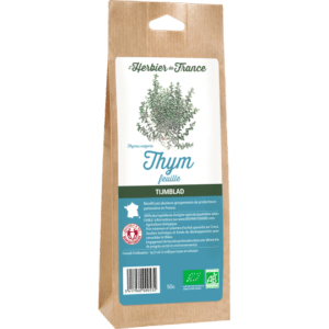 thym feuilles Herbier